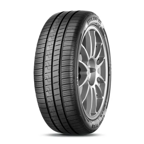 Goodyear EfficientGrip Performance 205/55 R19 97V XL